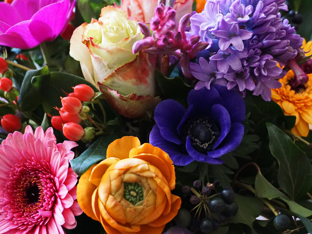 Красивый букет крупным планом