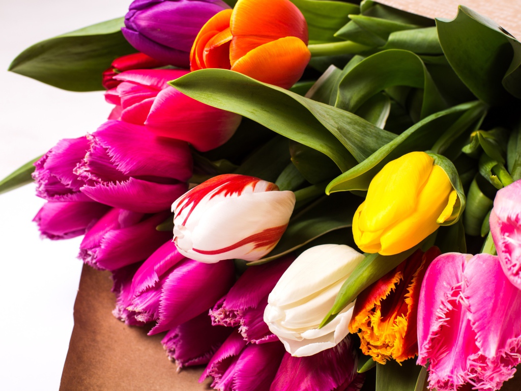 Красивый букет разноцветных тюльпанов крупных планом