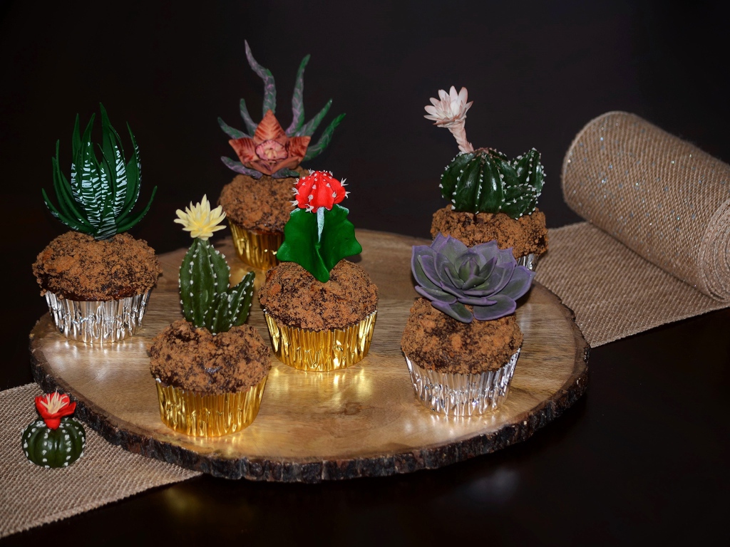 Красивые цветущие комнатные кактусы