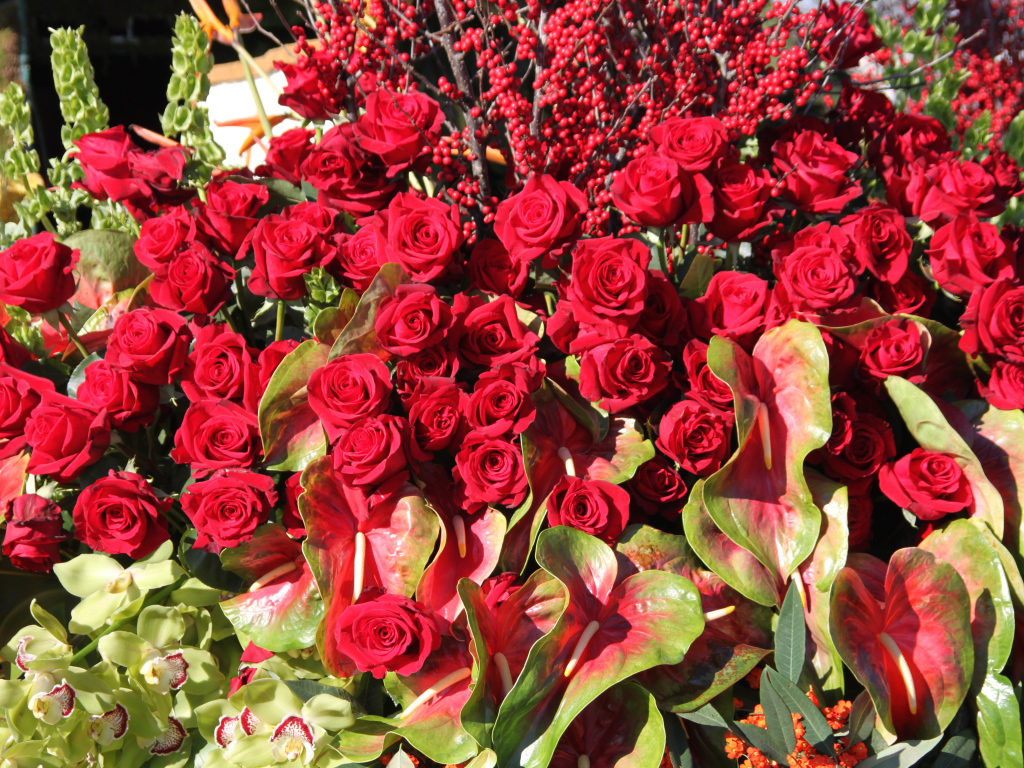 Красивые красные розы с цветами антуриум