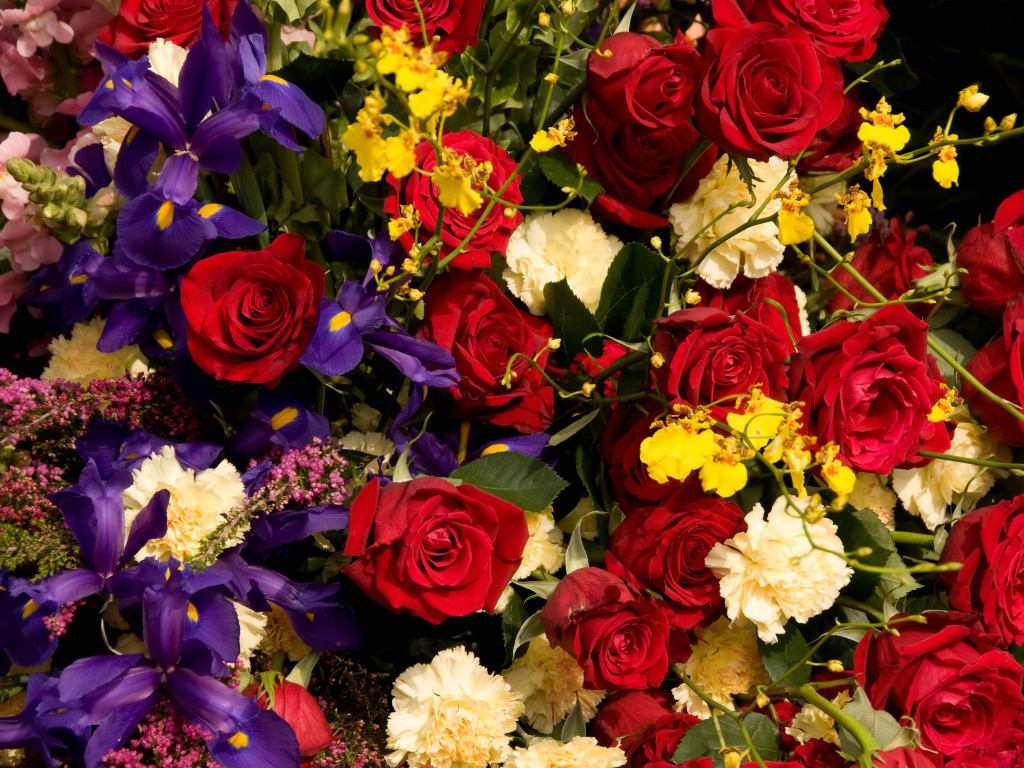 Розы, ирисы, гвоздики, орхидеи крупным планом