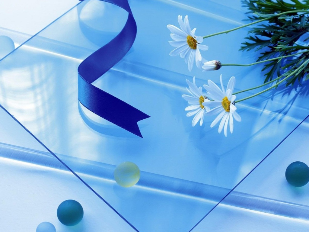 Белые ромашки на стеклянном столе с атласной лентой 