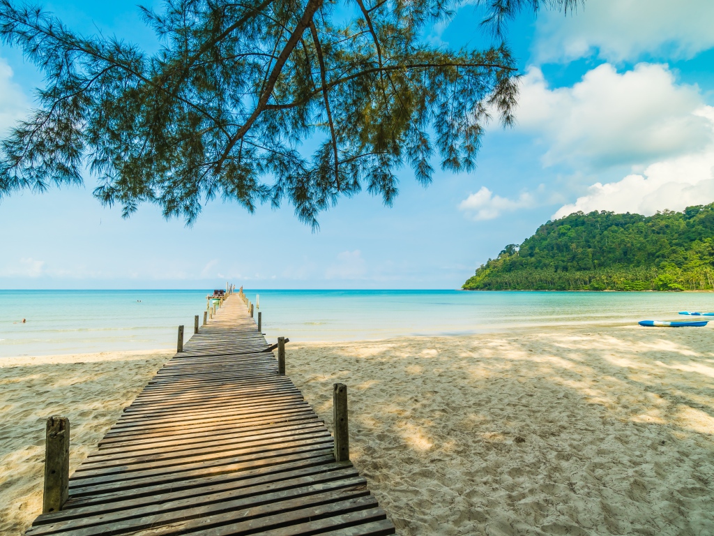 Деревянный мост под деревом в океане 