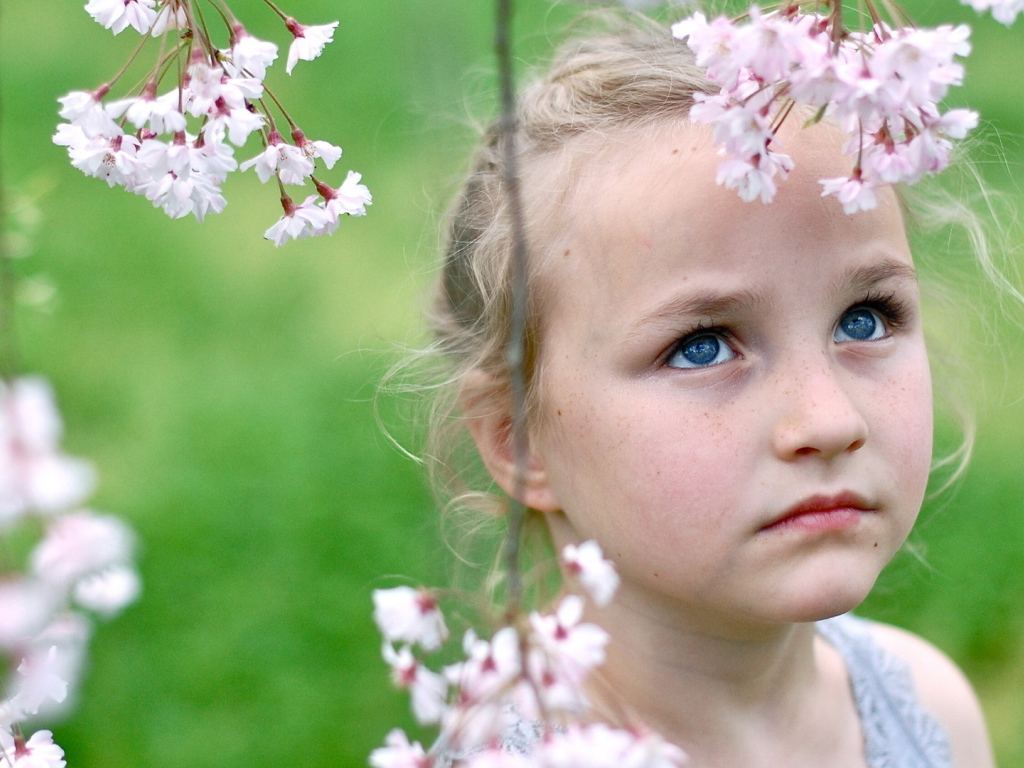 Маленькая голубоглазая девочка с ветками весенних цветов