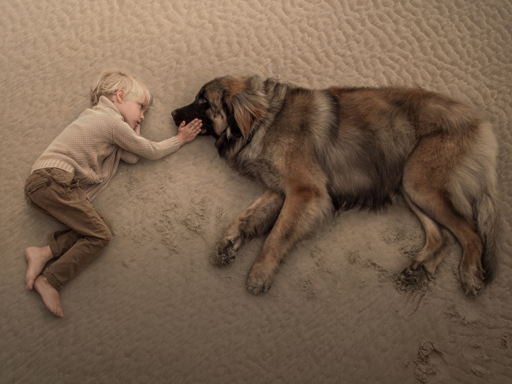 A little boy lies on the sand with a big dog