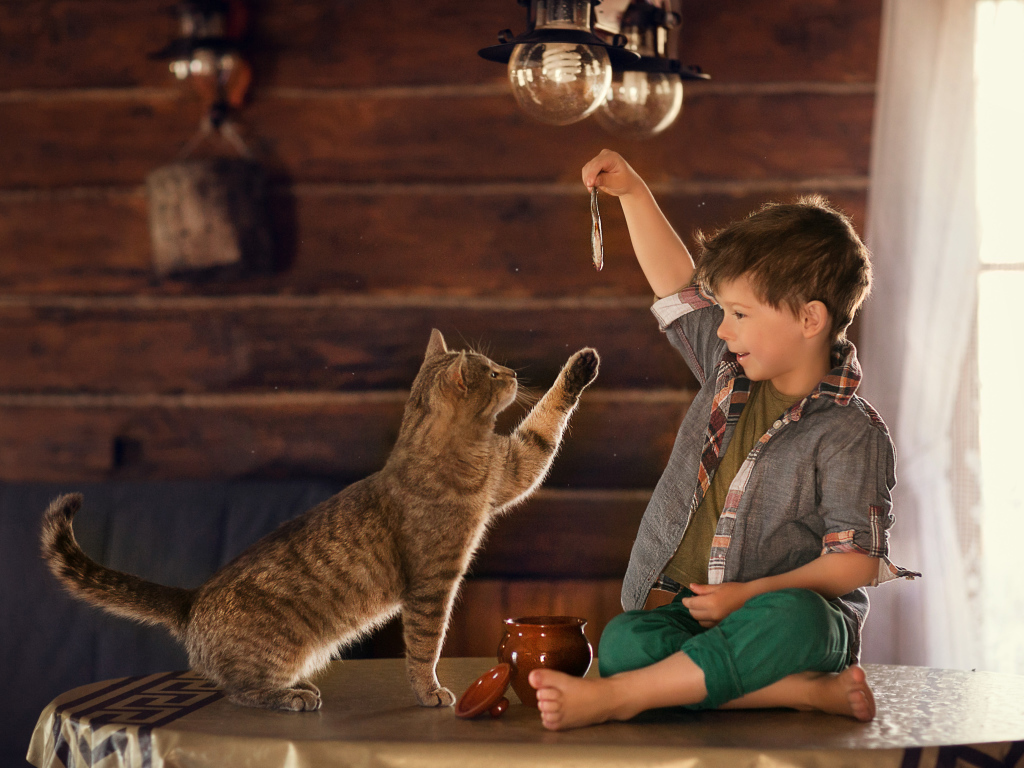 Маленький мальчик дразнит рыбой серого кота