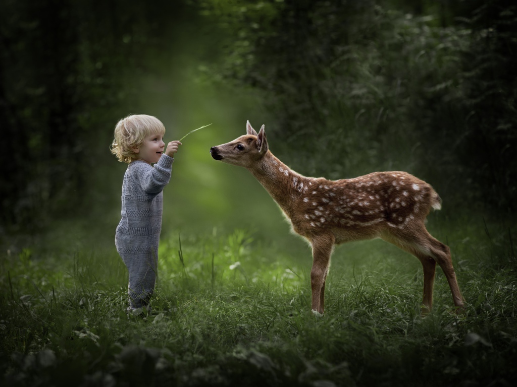 Маленький мальчик с оленем в лесу