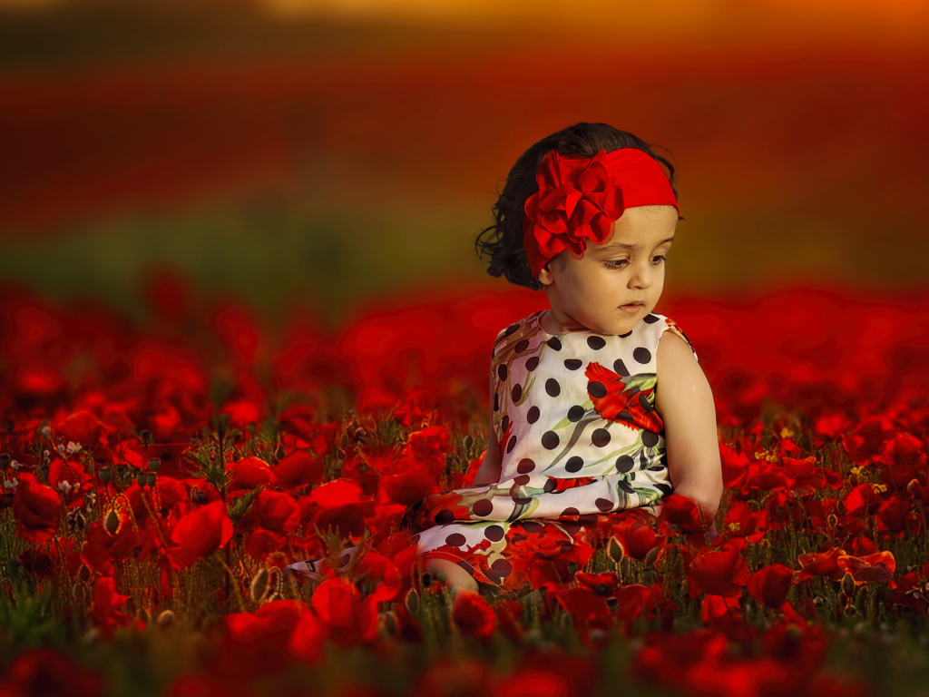 Маленькая девочка в красивом платье на поле с красными маками
