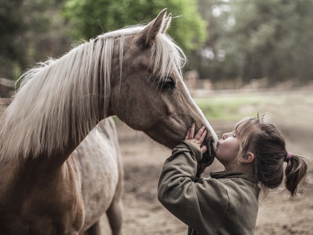 Маленькая девочка целует коня