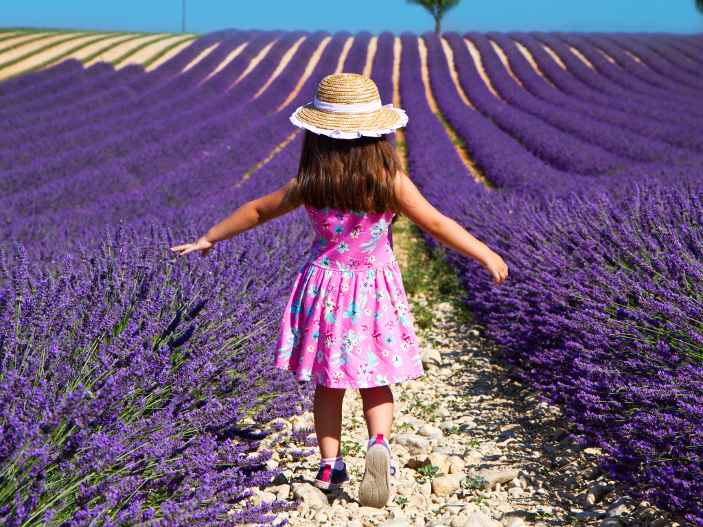 Маленькая девочка гуляет по полю с лавандой