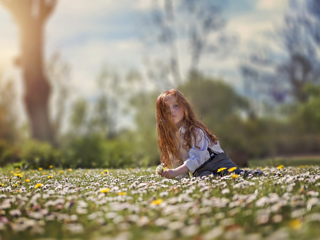 Маленькая рыжеволосая девочка сидит на поле с белыми ромашками