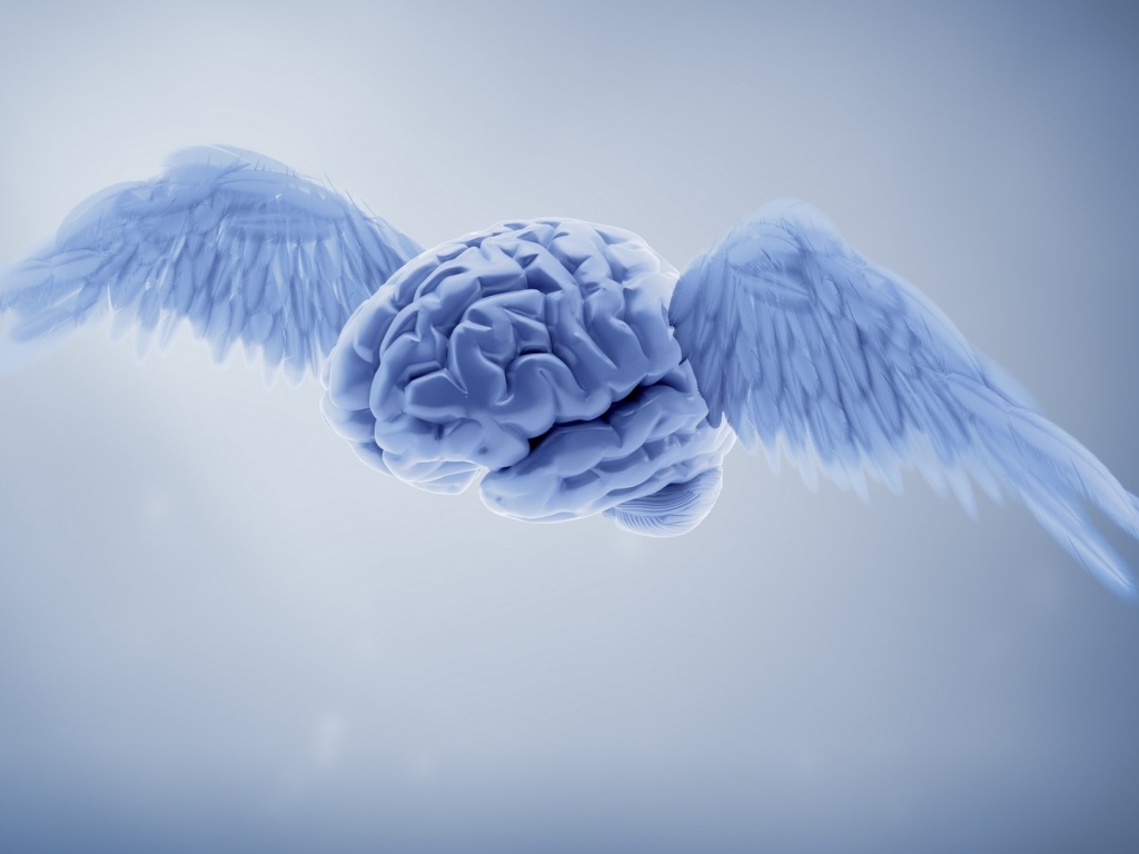Голубой мозг с крыльями на сером фоне 3д графика