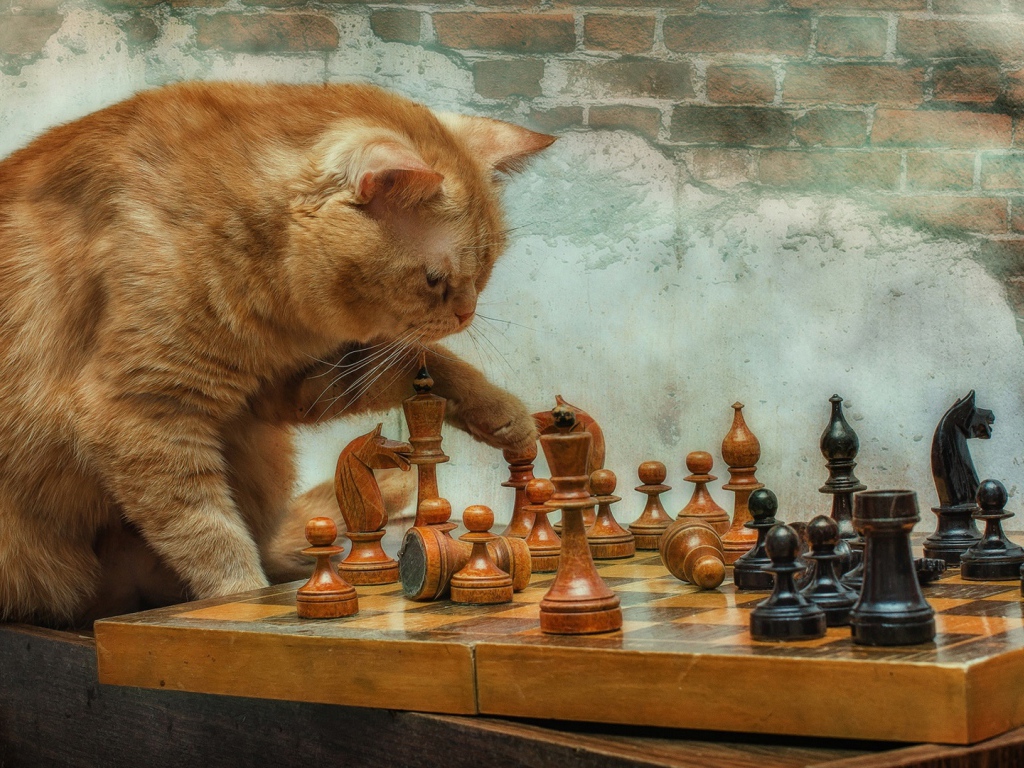 Рыжий кот играет с деревянными шахматами у стены