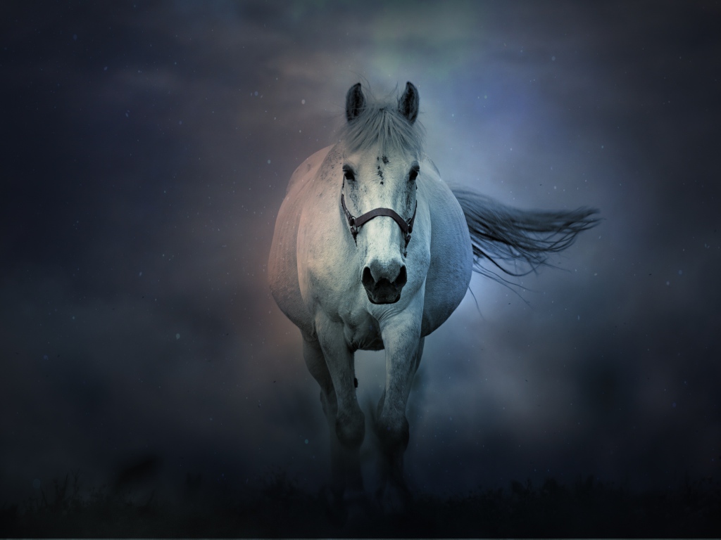 Большая белая лошадь бежит в тумане