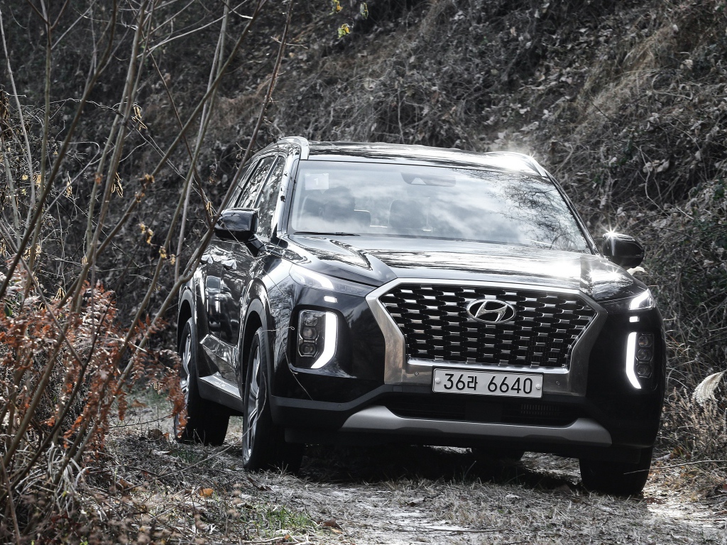 Черный внедорожник Hyundai Palisade 2019 года в зарослях 