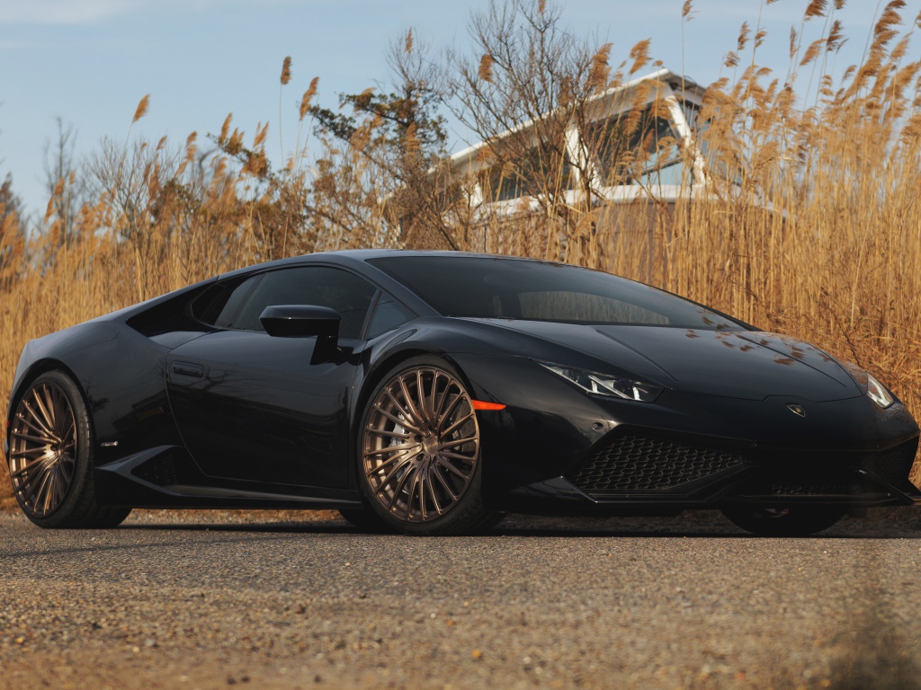 Черный автомобиль Lamborghini Huracan на фоне камыша