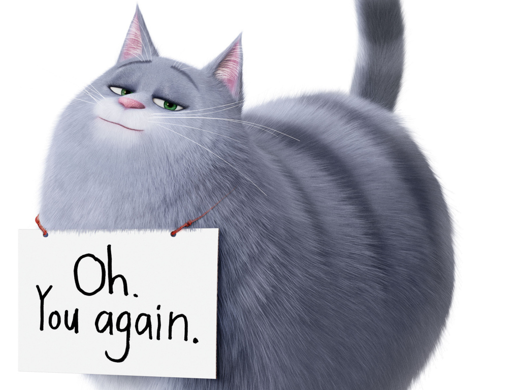 Кошка Хлоя из Тайная жизнь домашних животных 2 на белом фоне