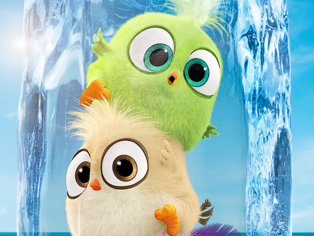 Newborn birds in ice cartoon Angry Birds at cinema 2, 2019