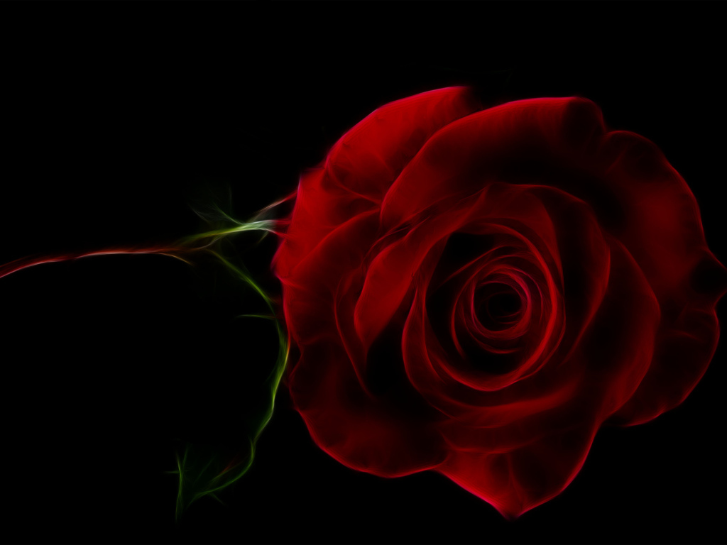 Нарисованная красная роза на черном фоне