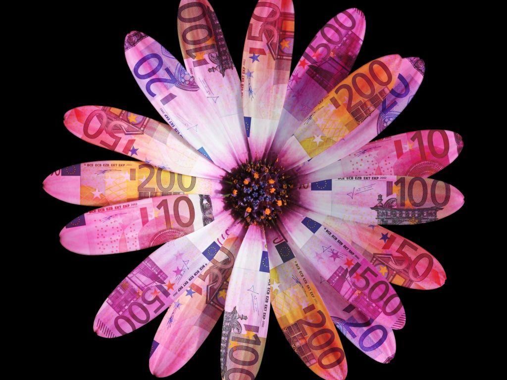Цветок из купюр евро на черном фоне