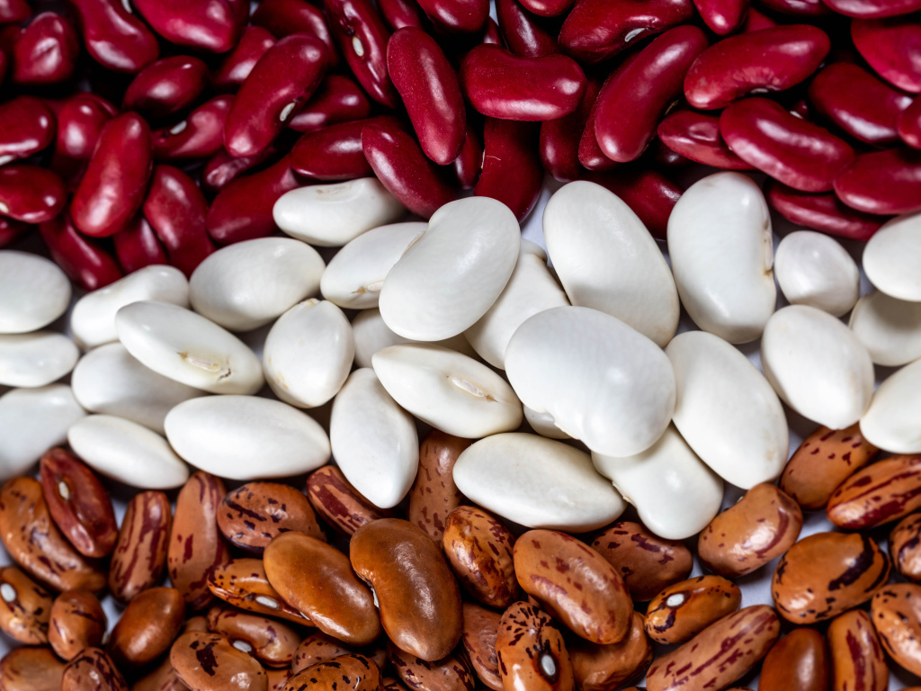 Много разноцветной фасоли крупным планом