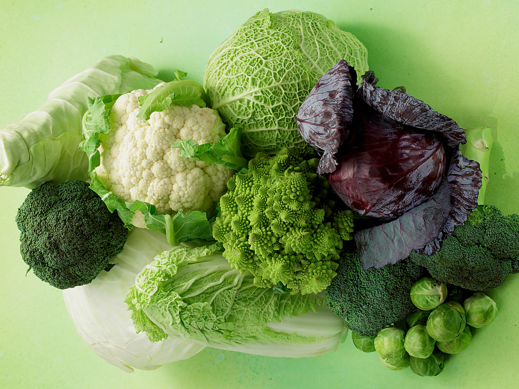 Разные виды капусты на зеленом фоне крупным планом