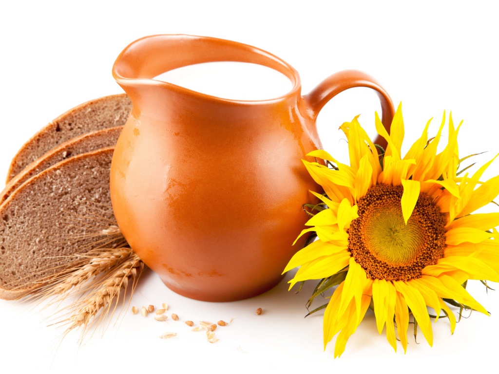 Кувшин с молоком на белом фоне с хлебом и подсолнухом