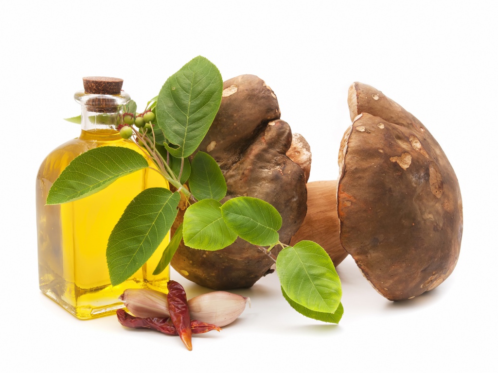 Грибы на белом фоне с оливковым маслом и чесноком