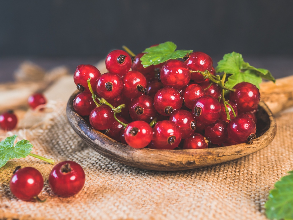 Красивая спелая красная смородина 