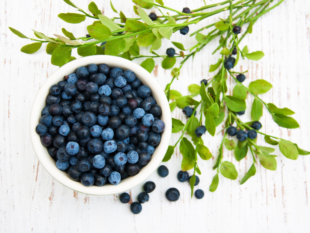 Свежие ягоды черники на столе с ветками