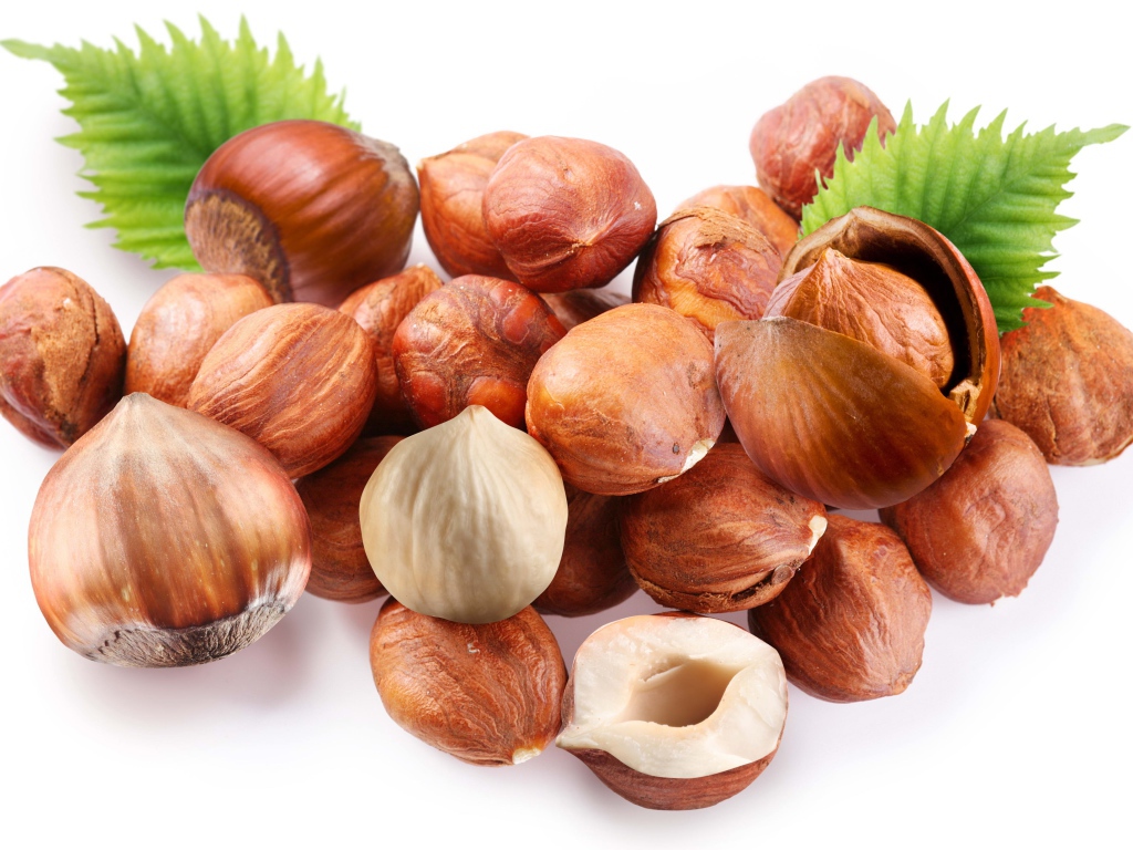 Много лесных орехов на белом фоне