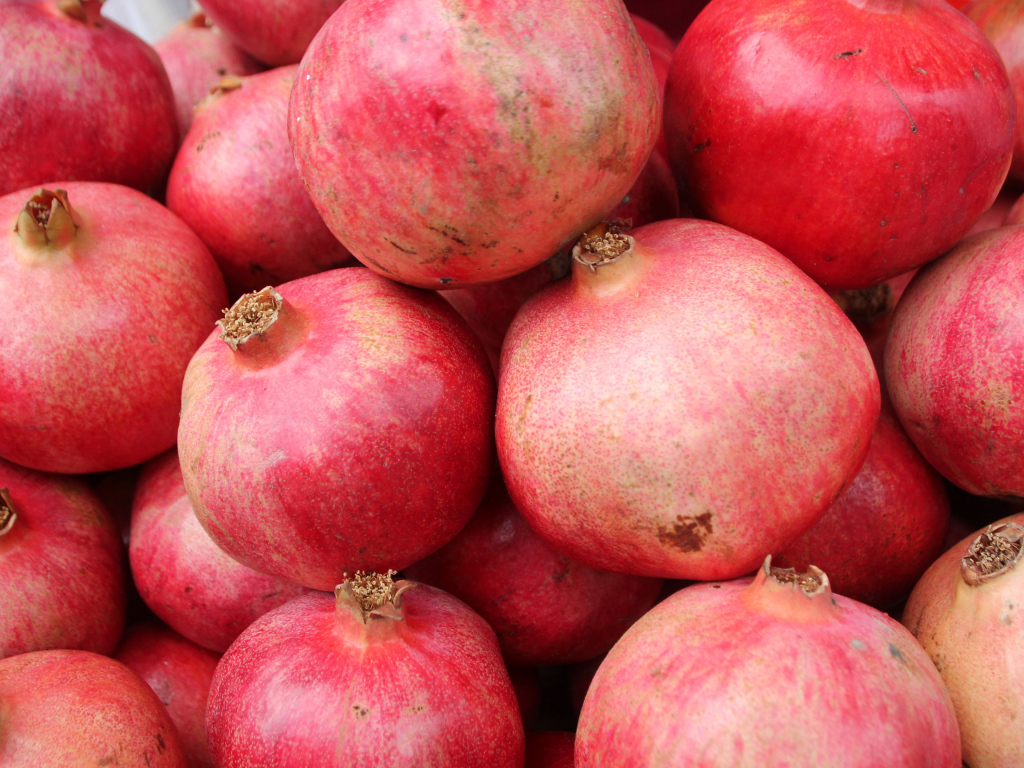 Много красных плодов граната крупным планом