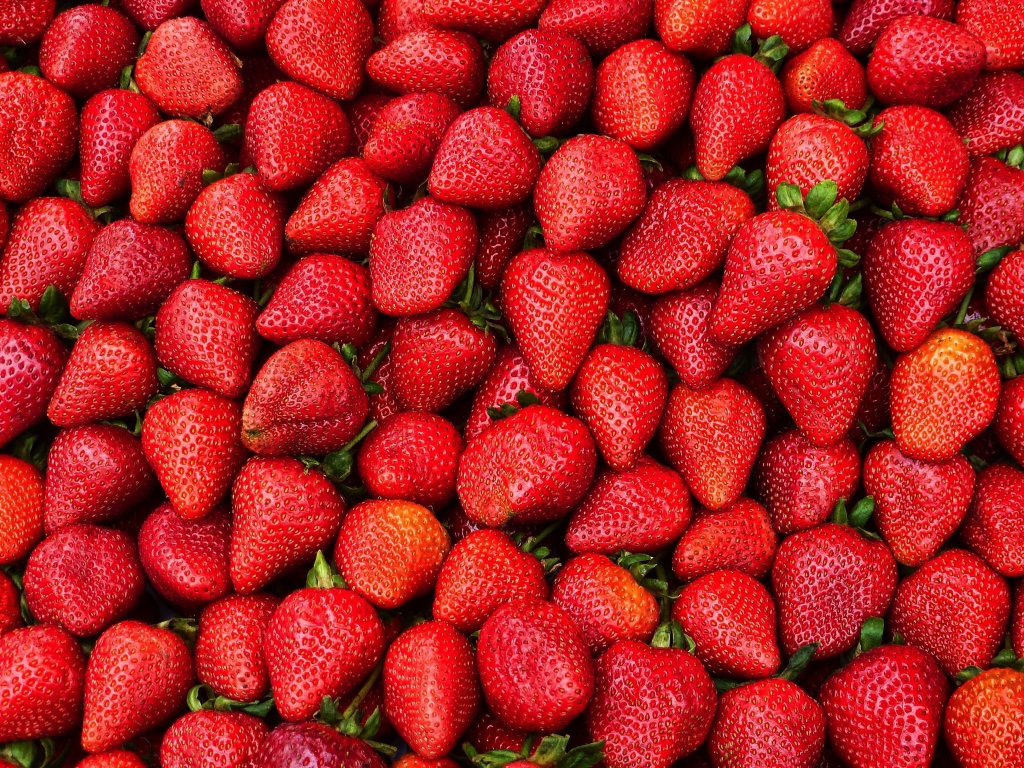 Много вкусной сладкой клубники крупным планом