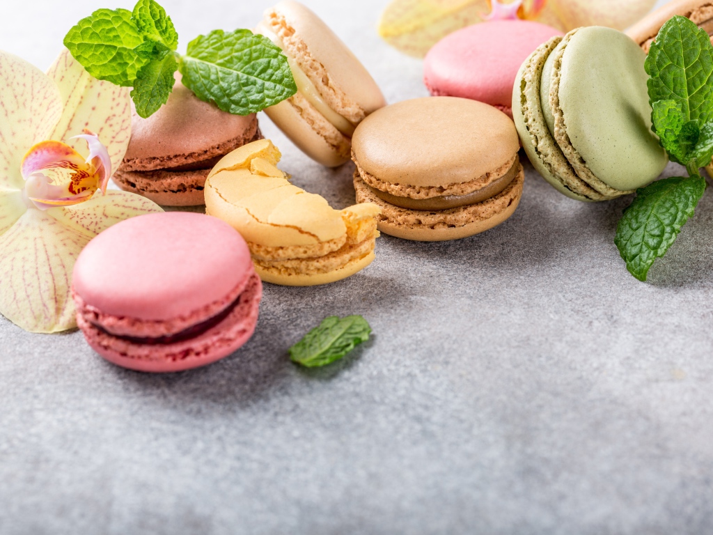 Десерт макарон на серой поверхности с цветами орхидеи и мятой