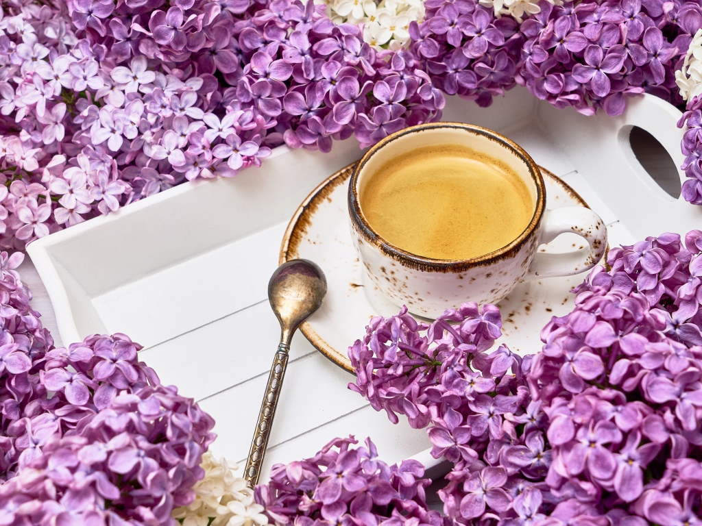 Чашка кофе на подносе с цветами сирени 