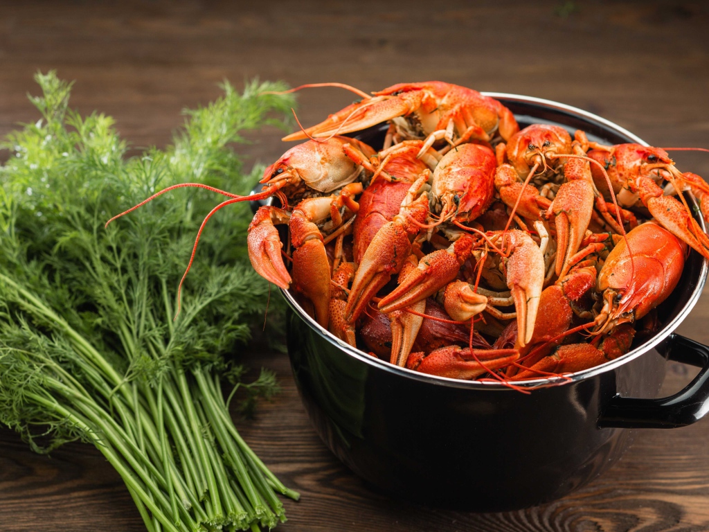 Вареные раки в кастрюле на столе с укропом