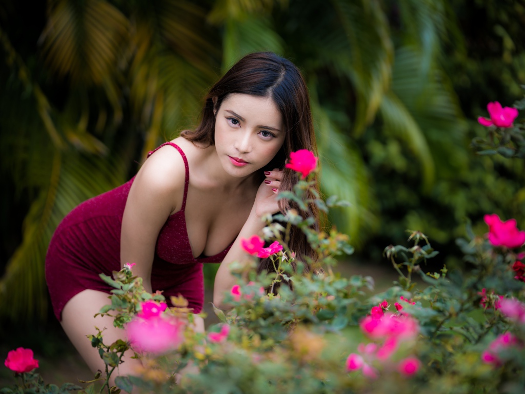 Девушка азиатка в красивом красном платье у куста роз