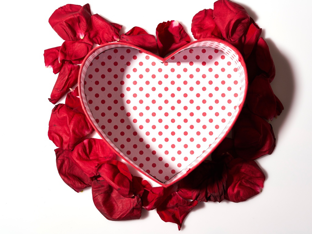 Подарочная коробка в форме сердца с лепестками красной розы на белом фоне