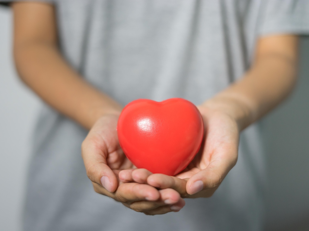 Красное сердце в ладонях 