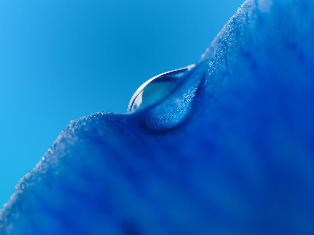 Капля воды на льду на голубом фоне