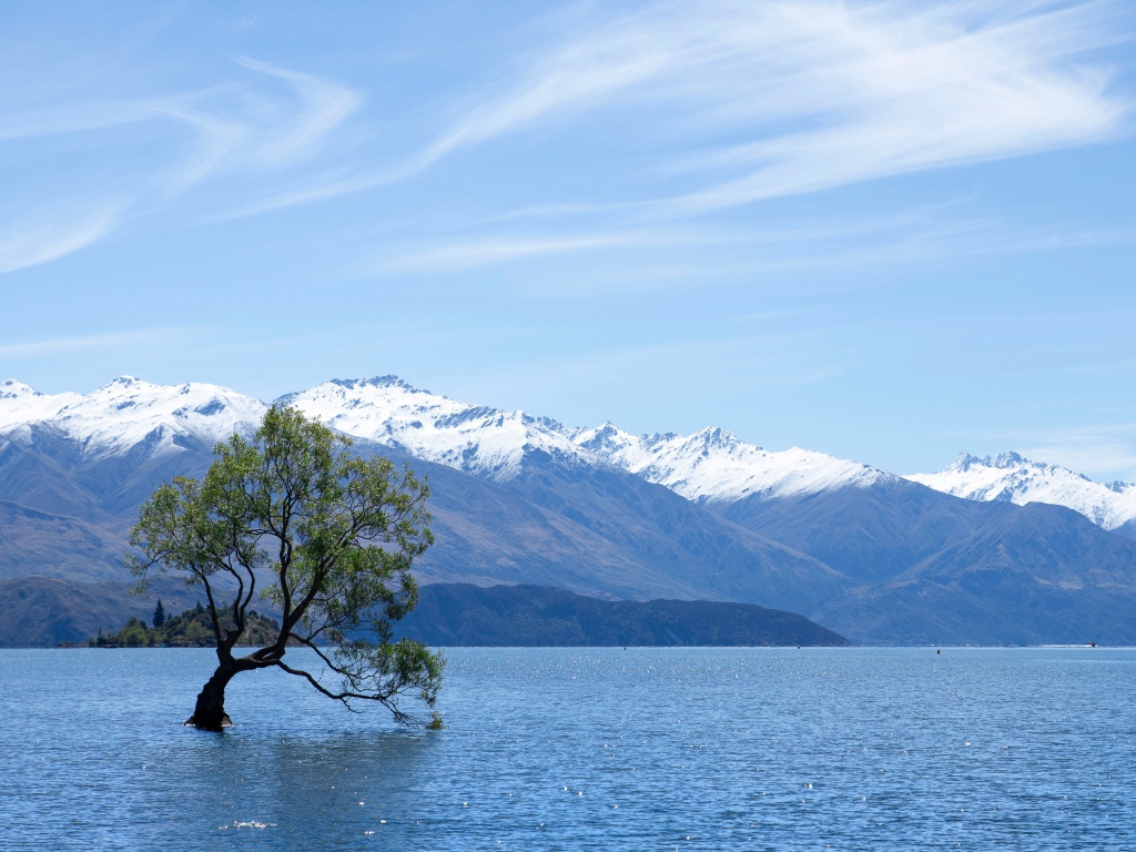 Одинокое дерево в воде на фоне гор под красивым небом