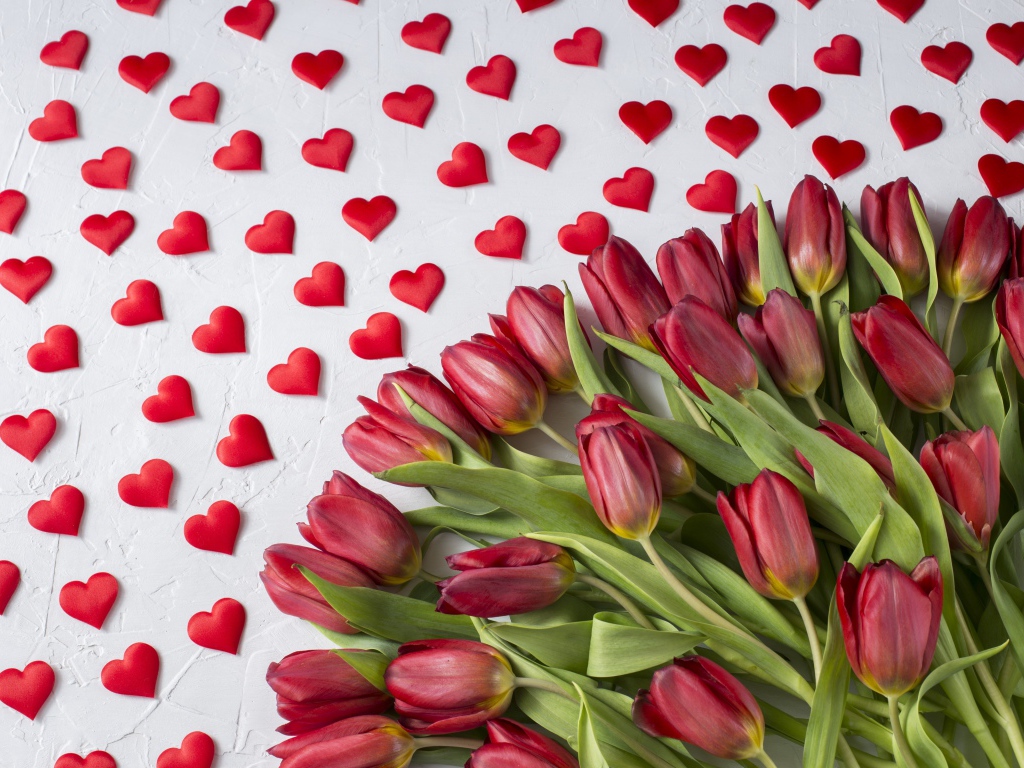 Большой букет красных тюльпанов на белом фоне с маленькими красными сердечками