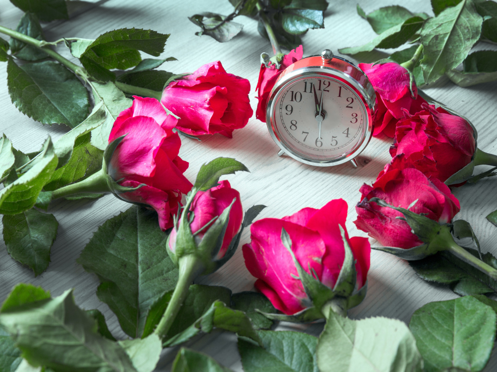 Будильник и красные розы на столе 
