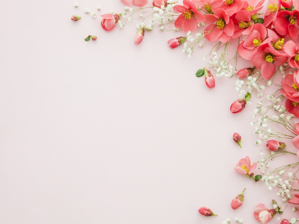 Серый фон с розовыми весенними цветами