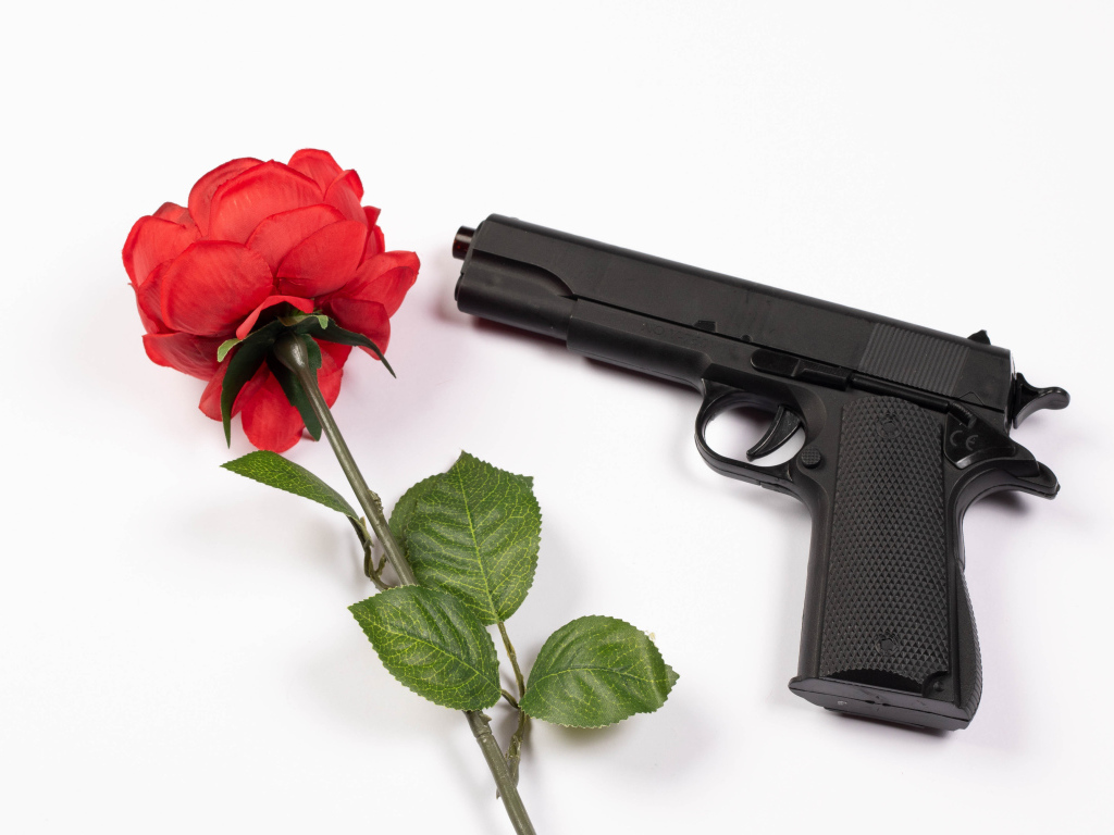 Красная роза и черный пистолет на белом фоне