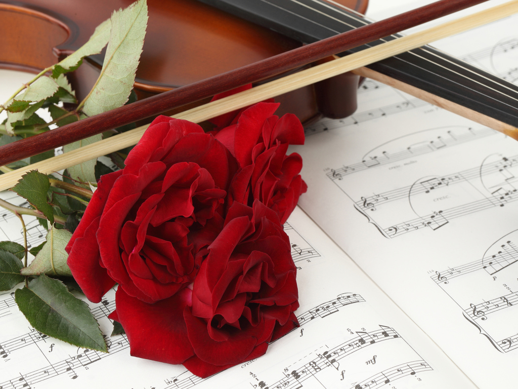 Три красных розы на нотах со скрипкой 