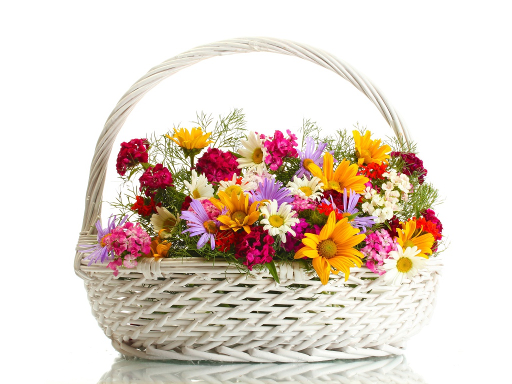 Белая плетеная корзина с цветами на белом фоне