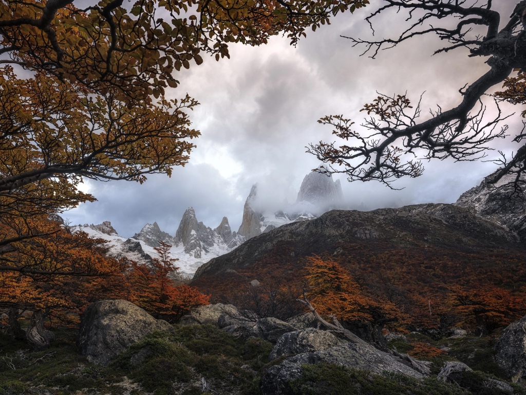 Деревья с желтыми листьями на фоне гор 