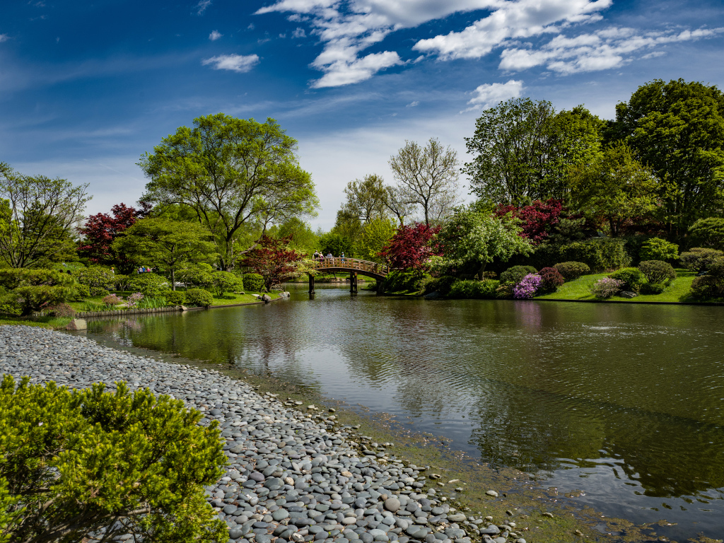 Камни на берегу реки в парке с зелеными деревьями