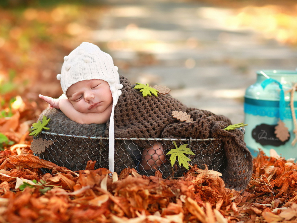 Спящий грудной ребенок в корзине осенью 